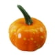 thumbnail image 1 of Moyic Mini calabaza de espuma Artificial para Halloween, 16 Uds., simulación de vegetales falsos, fruta artesanal, fiesta de cumpleaños, boda, Kits de decoración para fiestas Moyic HA000212-00, 1 of 6