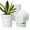 White, variant on Plant Pots Small Flower Pots with Drainage Hole and Saucer, Decorative Nursery Pot Bulk for African Violet, Snake Plant, Succulent, Herb and Plants Indoor