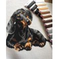 thumbnail image 2 of Riolis Counted Cross Stitch Kit 9.75"X9.75"-Dachshund (15 Count), 2 of 3