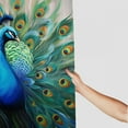 thumbnail image 3 of Fenyluxe Peacock Feathers Pretty Shower Curtain Bathroom Decor Polyester Fiber with Hooks 36x72, 3 of 7