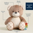 thumbnail image 5 of Itzy Ritzy Sweetie Snuggles™ Plush Bear, 5 of 8