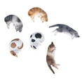 thumbnail image 3 of Mini figuras de gatos NikouMX 6 piezas juguete plástico multifuncional, 3 of 8