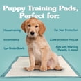 thumbnail image 2 of Almohadillas para orinar Simple Solution extra grandes para perros, XXL, 28 x 30 pulgadas, 2 of 6