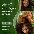 thumbnail image 4 of Herbal Essences Coconut Oil Hydrating Shampoo, with Certified Camellia Oil and Aloe Vera, For All Hair Types, Especially Dry Hair, 4 of 9