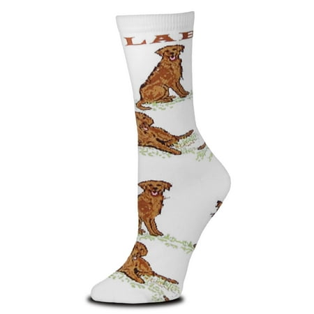 

Chocolate LabMedium White Socks
