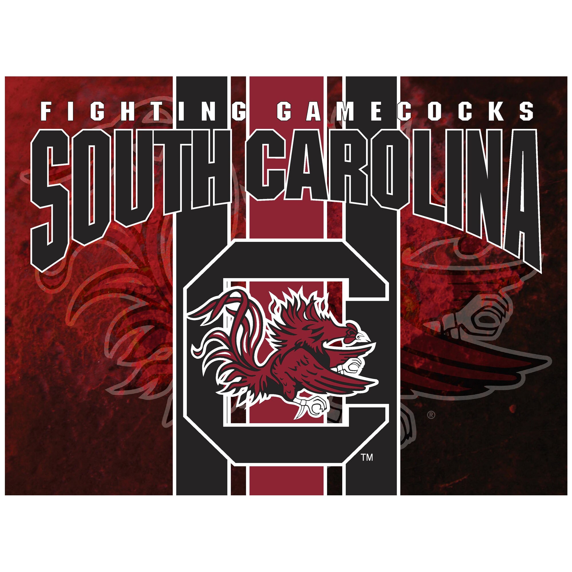 South Carolina Gamecocks Classic Football Poster
