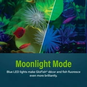 GloFish Crescent Aquarium Kit 3 Gallons, Includes Hidden Blue LED Light and Internal Filter