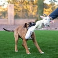 thumbnail image 4 of Jolly Pets Fat Tail Large Horse, Tug and Toss Toy For Dogs, 4 of 6
