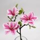 thumbnail image 4 of unbranded 1Ud Flor Artificial Magnolia Para Del Hogar Y Jardín Con Material Premium, 4 of 8