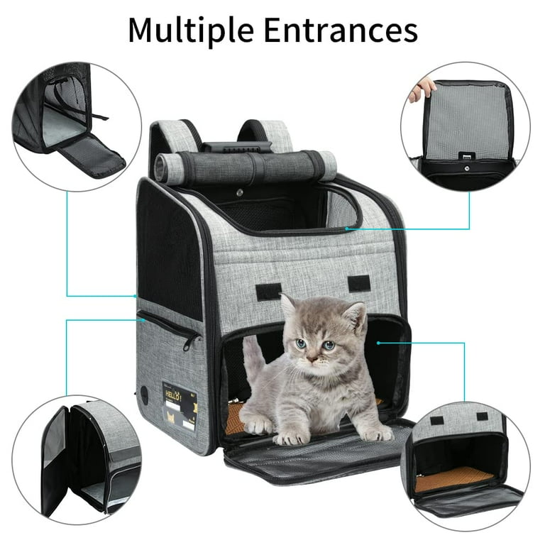 Cat cheap carrier walmart