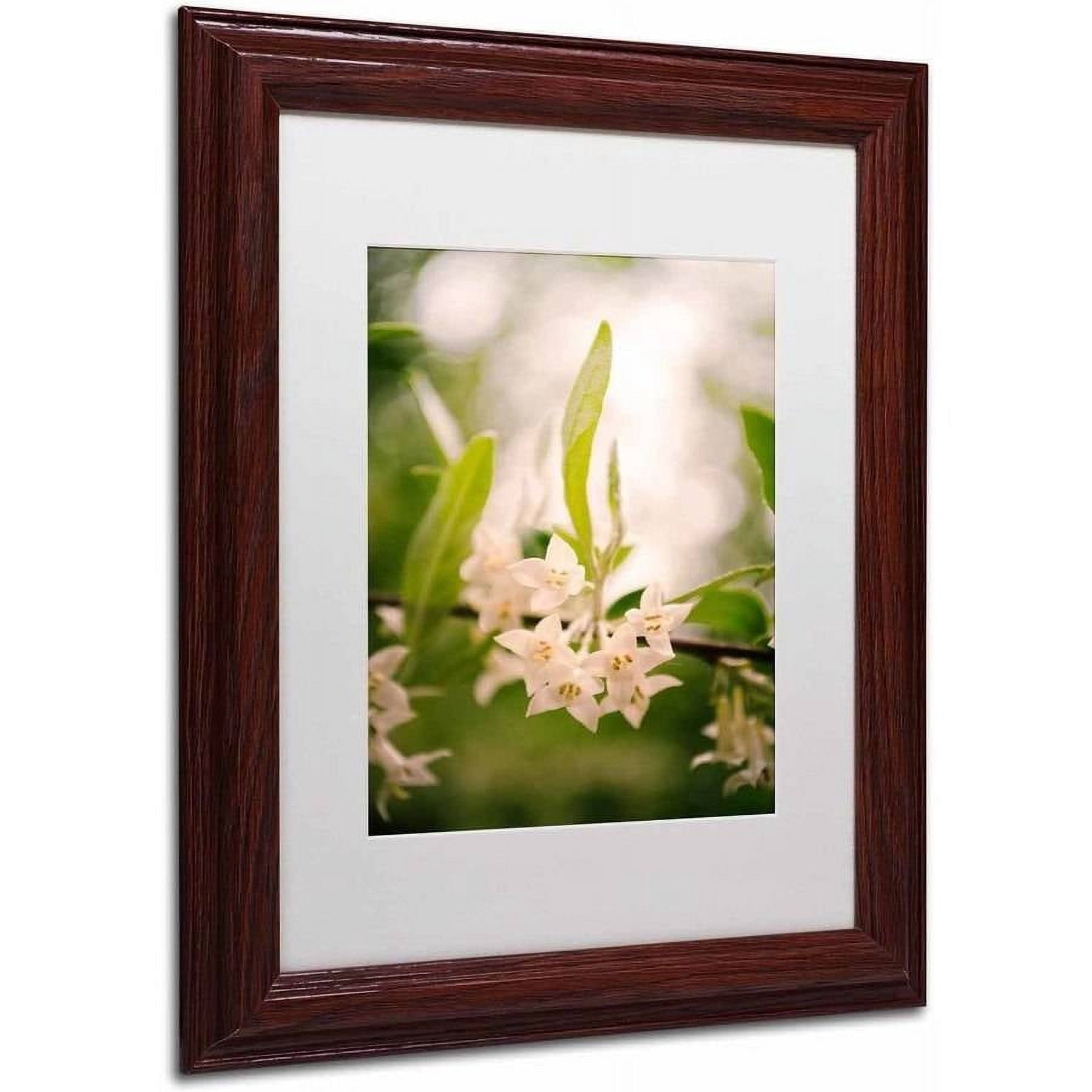 Trademark Fine Art 'Floral Tranquility' Canvas Art by PIPA Fine Art, White Matte, Wood Frame