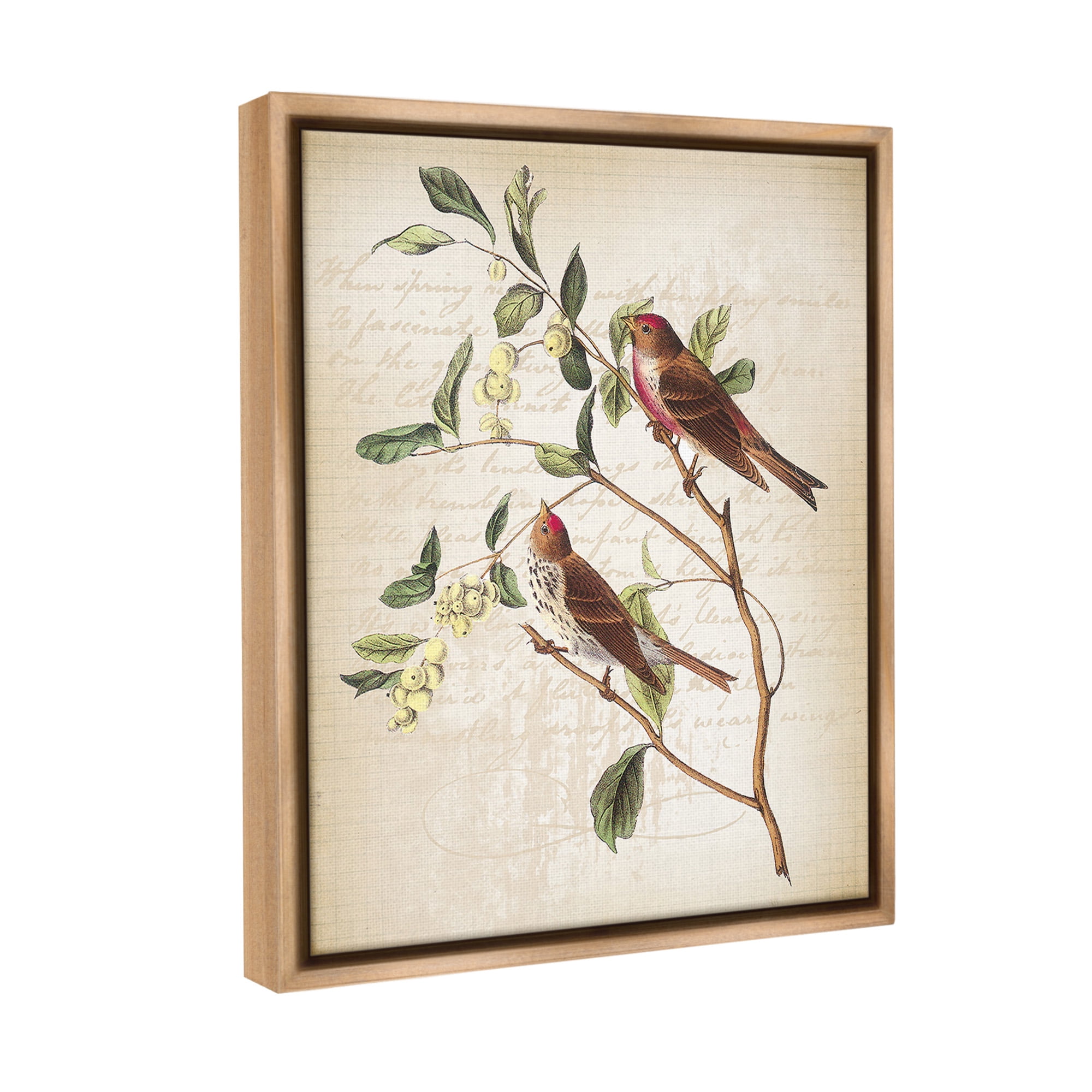Stupell Industries Birds with Vintage Cursive Animals & Insects Painting Brown Floater Framed Canvas Art Print Wall Art, 17 x 21