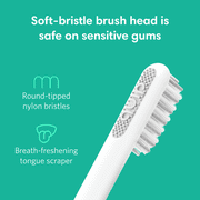 Quip Adult Electric Toothbrush Full Head, Built-in Timer + Travel Case, Copper Metal