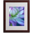 thumbnail image 2 of Trademark Fine Art 'The Color Purple' Matted Framed Art by Kathy Yates, 2 of 2