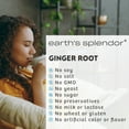 thumbnail image 4 of Earth's Splendor Ginger Root Dietary Supplement, 550 mg, 100 Capsules, 4 of 7