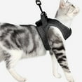 thumbnail image 6 of MISSMILE Cat Harness,Perfect Fit Every Time Cat Harness and Leash,Durable Adjustable Harness for Kittens, 6 of 6