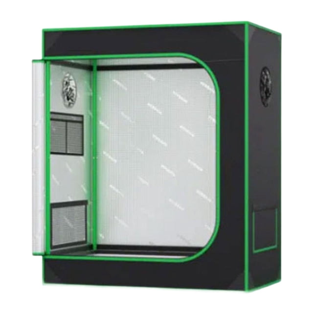 Tienda de planta de cultivo mejorada Visualización de la ventana Cultivo de contenedores de plantas para árboles pequeños Flores de cultivo