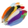 thumbnail image 1 of 25 plumas de colores variados, colores vibrantes, suaves, elegantes, plumas naturales ampliamente utilizadas para manualidades, decoración de bricolaje, 1 of 15