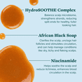 thumbnail image 3 of ALODIA Nourish & Heal Raw Organic Black Soap for Dry Scalp & Gentle Hair - Lavender & Spearmint Infused African Liquid Black Soap Wash - Gently Remove Buildup on Scalp & Strands - 8 oz, 3 of 13