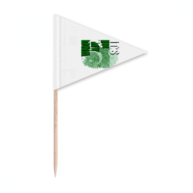 Drapeau Pakistan Empreinte Génétique Cure-Dent Triangle Toppers de Cupcake Drapeau