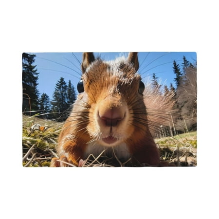 

Placemats Set of 6 Close-Up Curious Squirrel Place mats for Dining Table Indoor/Outdoor Cute Heat Resistant Washable Table Mats(18 x 12 )