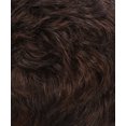thumbnail image 1 of Ponytail Spring Clip - WCLC9, 1 of 51