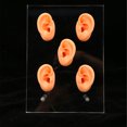 thumbnail image 3 of Modèle d'Oreille en Silicone, Modèle d'Oreille Outils Complets pour les Hôpitaux, 3 of 8