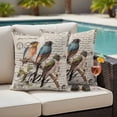 thumbnail image 2 of Outdoor Pillow Cover Parrot Tree Branch Set of 2 Waterproof Throw Pillowcases Vintage Postmark Decorative Patio Furniture Pillows for Couch Garden Indoor & Outdoor Use, 2 of 9
