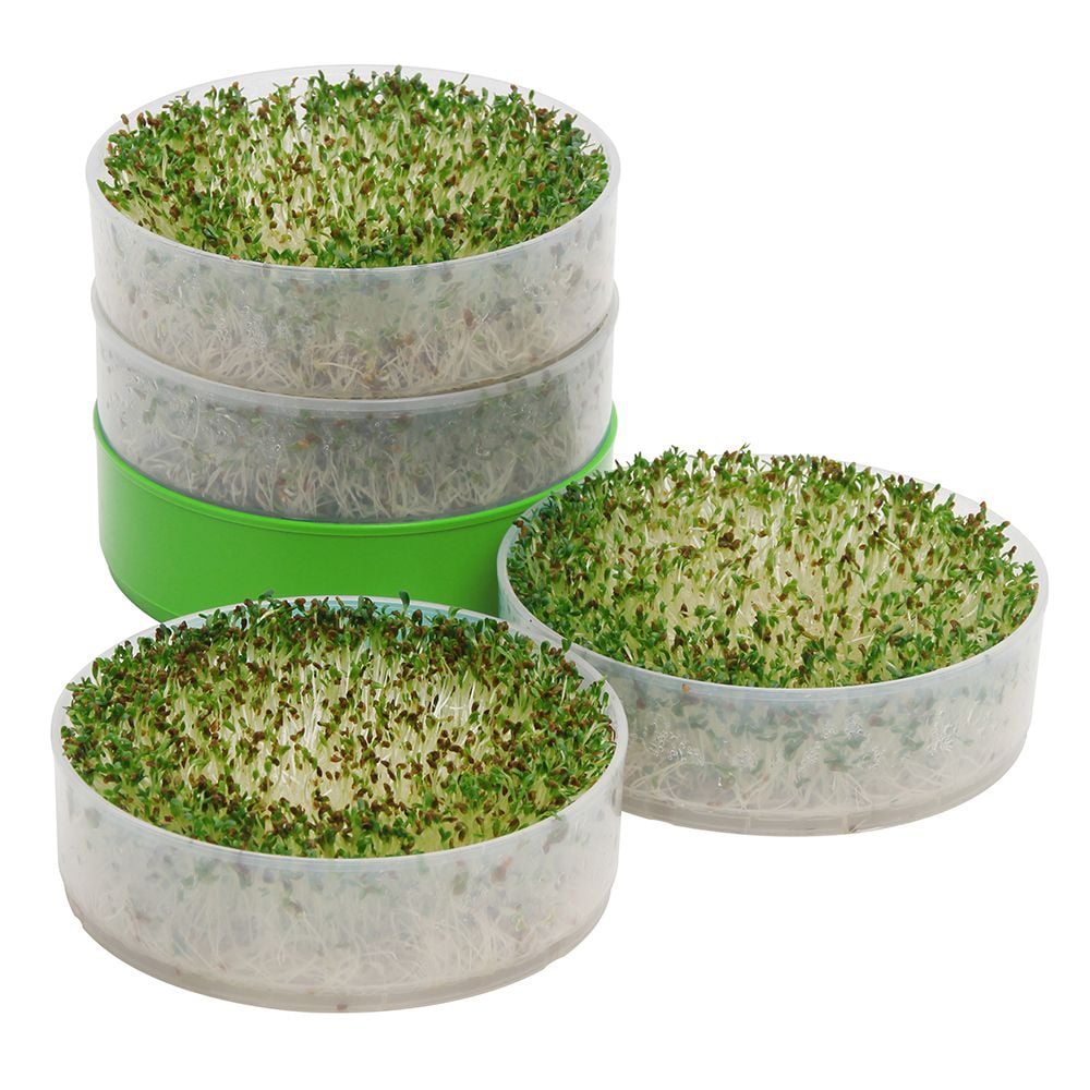 Seed Sprouter Stackable Sprouting Trays Germination Kitchen Crop Wheatgrass New 