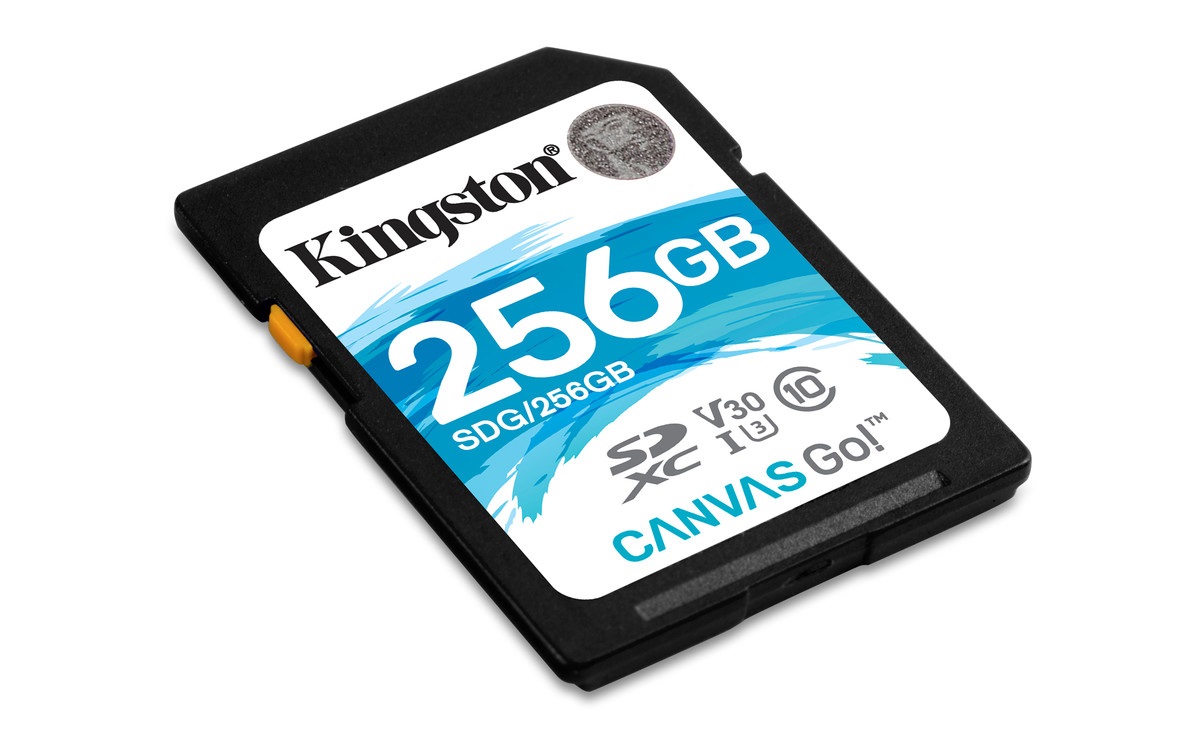 Kingston Digital Canvas Go! 256GB SDXC Class 10 SD Memory Card UHS-I 90MB/s R 45MB/s (SDG/256GB) - image 2 of 6