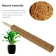 thumbnail image 2 of Muyoka Coco Coco Polo Coir Musgo Tótem Escalada Palo Planta Extensión Soporte Estaca Enredadera Marco de enrejado Muyoka Hogar, 2 of 7