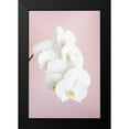 thumbnail image 2 of 1x Studio III 17x24 Black Modern Framed Museum Art Print Titled - Orchid_2, 2 of 5