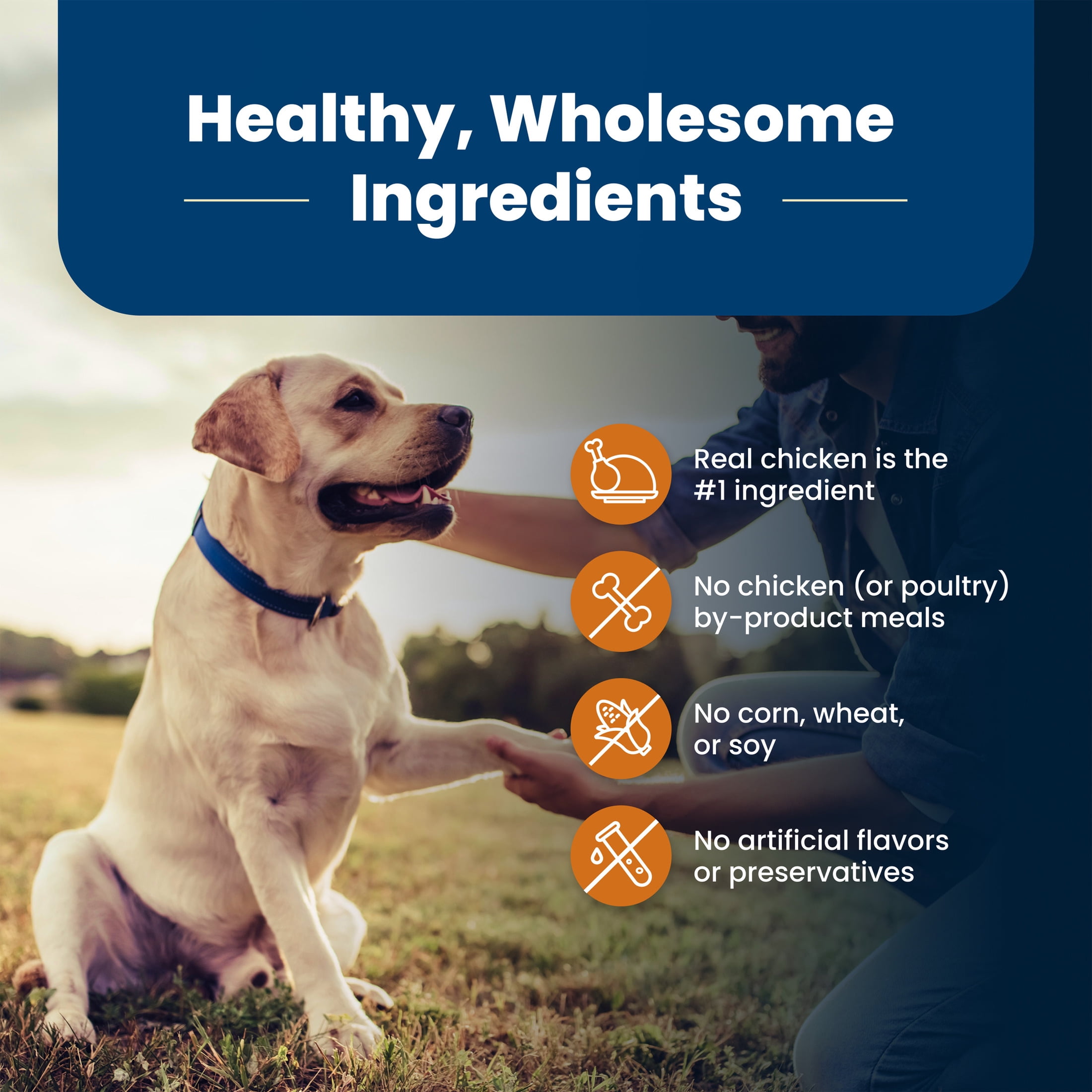 Blue Buffalo Life Protection Formula Large Breed Senior Dog Food, Chicken & Rice, 34 lbs.