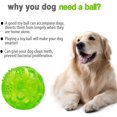 thumbnail image 4 of Duradero, Bouncer Bounting Dog Bullets para perros pequeños y grandes, juguetes increíbles, entrenamiento de juegos (1 campanas) Afortunado Sencillez, 4 of 5