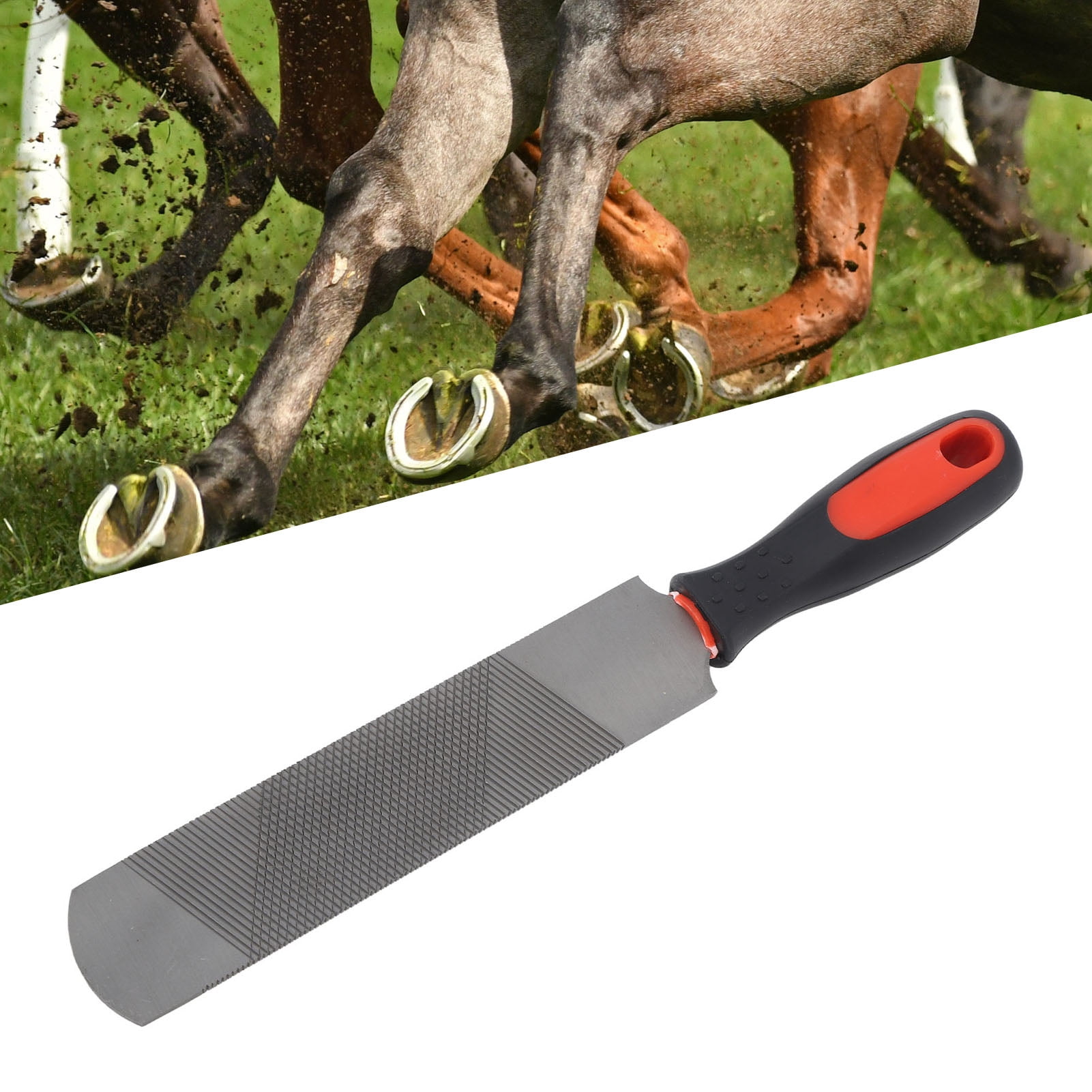 Lime à Sabot Double Face Pour Chevaux, Moutons, Bovins - Longueur 33 Cm (lame 21 Cm) - Poignée Ergonomique