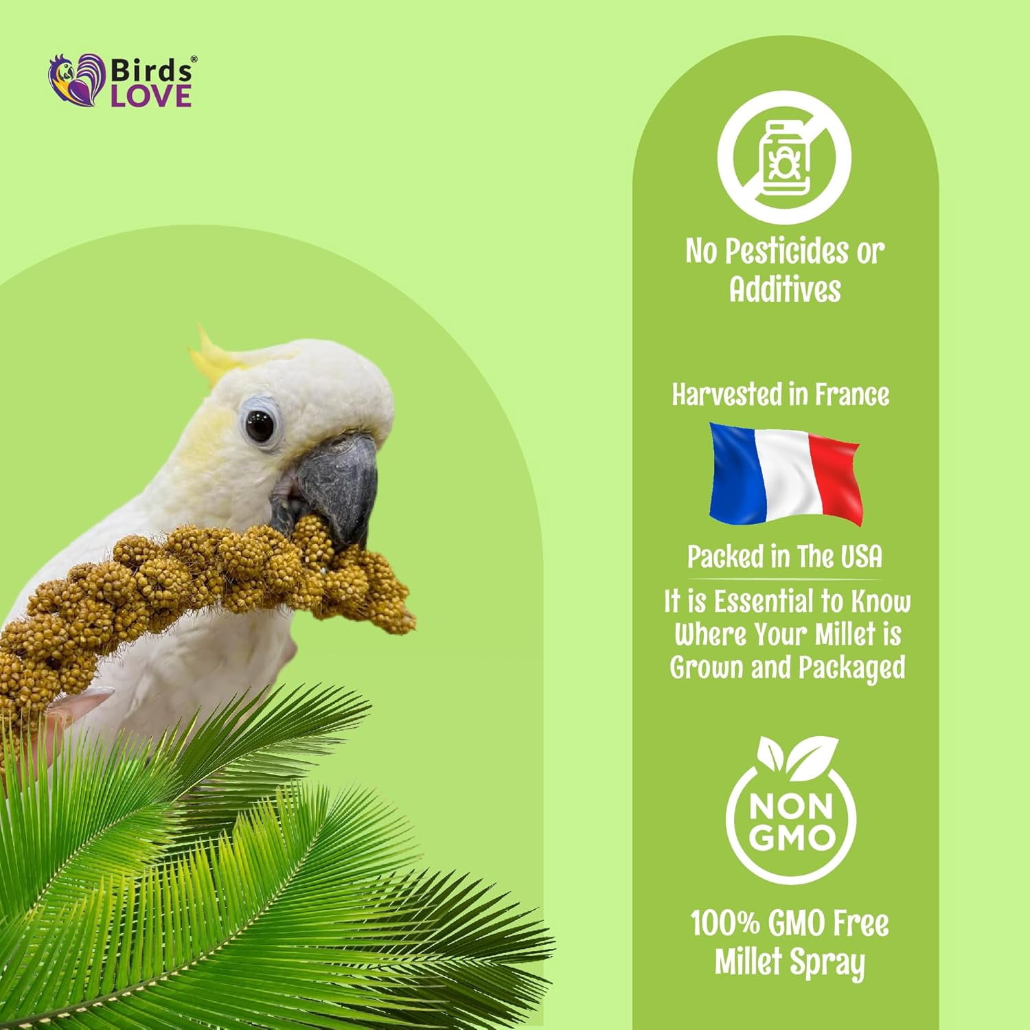 Birds LOVE French Kissed Spray Millet for Birds, USA Grown, 100% Natural Sun-Dried Millet Treat for Parakeets, Cockatiels, Conures & Budgies, Non GMO, 5 lb