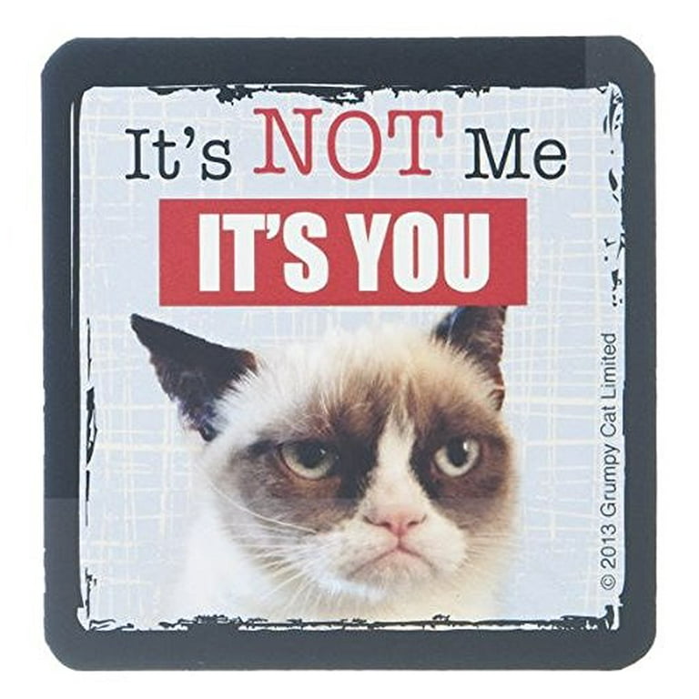 no it s not grumpy cat