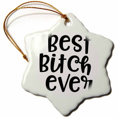 3dRose Best Bitches - Best Friend Ever - Best Friend Gift - Best Friends - Snowflake Ornament, 3-inch