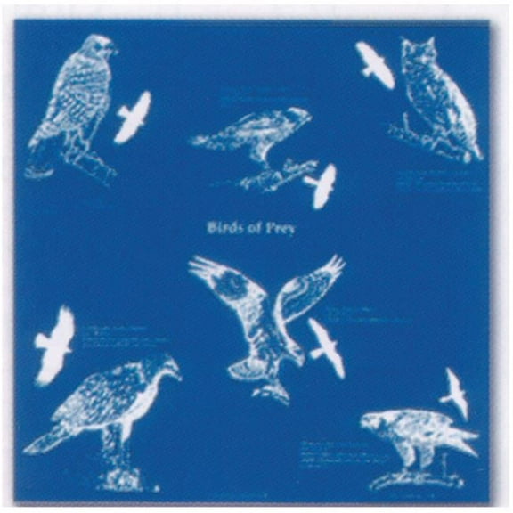 The Printed Image 104107 Birds of Prey Bandana