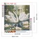 thumbnail image 2 of Pintura de diamante 5D DIY Kit de cisne de taladro redondo completo decoración del hogar 30x30cm, 2 of 9