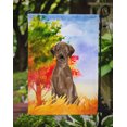 thumbnail image 3 of Carolines Treasures CK1951GF Fall Chocolate Labrador Retriever Garden Size Flag, 3 of 3