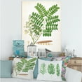 thumbnail image 2 of Designart ' Ancient Botanicals VII ' Farmhouse Canvas Wall Art Print, 2 of 4