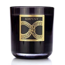 Serpent Black Line 2-Wick Scented Jar Candle by Kringle Candles