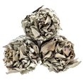 thumbnail image 1 of White Sage Smudge Sticks Sage Smudge Incense Sticks Use for Home Cleansing and Fragrance Meditation Smudging Rituals, 1 of 8
