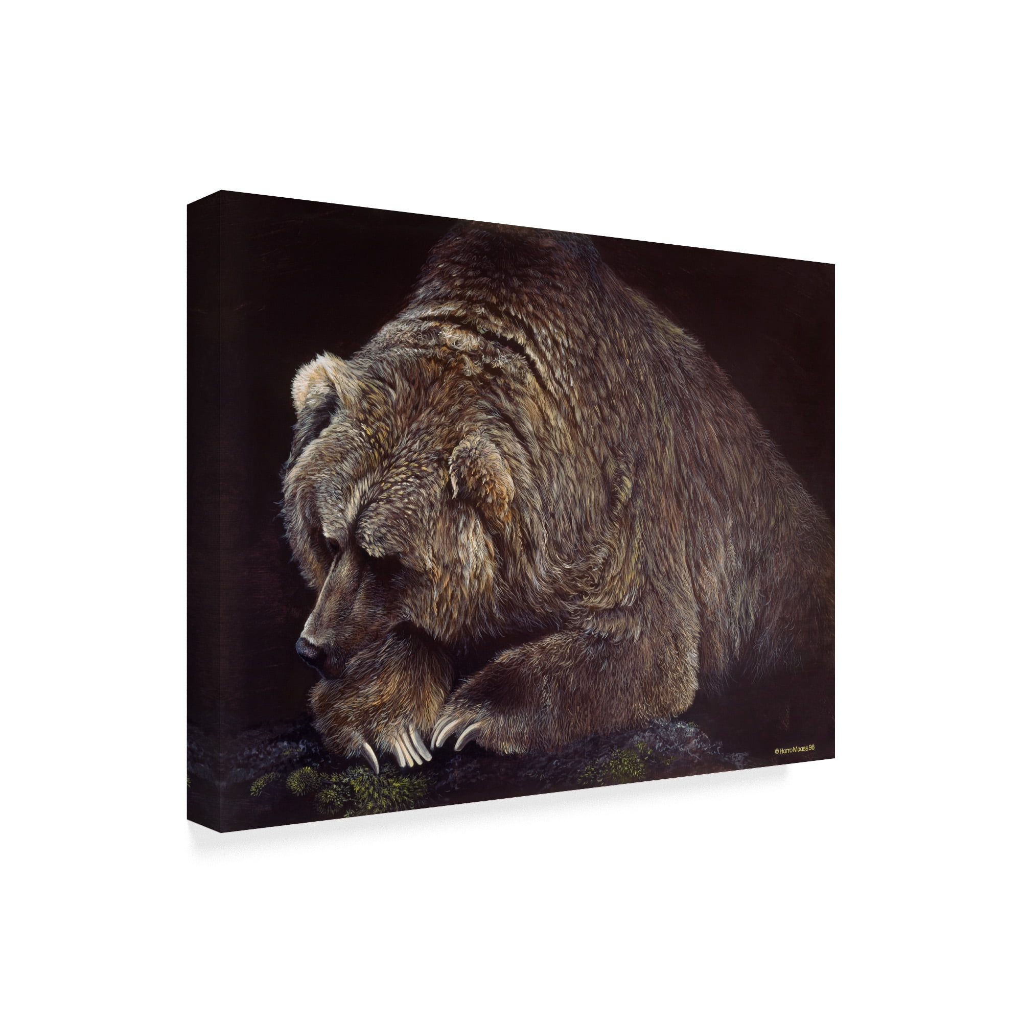 Trademark Fine Art 'Bear In Dark' Canvas Art by Harro Maass