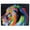 Lion, variant on Stoneage Arts Rainbow Dot Art Wall Canvas Two Sizes Variety of Animals (Turtle, 8x12 inch)