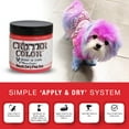 thumbnail image 2 of Warren London Critter Color Alexa's Pink Kiss Temporary Pet Fur Coloring 4 Oz Jar, 2 of 8