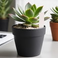 thumbnail image 4 of Single-Character Garden Marker, 1.97 x 0.39 inch Waterproof Plastic Label Stake for Herb Pots, Cactus Containers, Trays, Greenhouse Displays and Outdoor Organization, White, 4 of 7