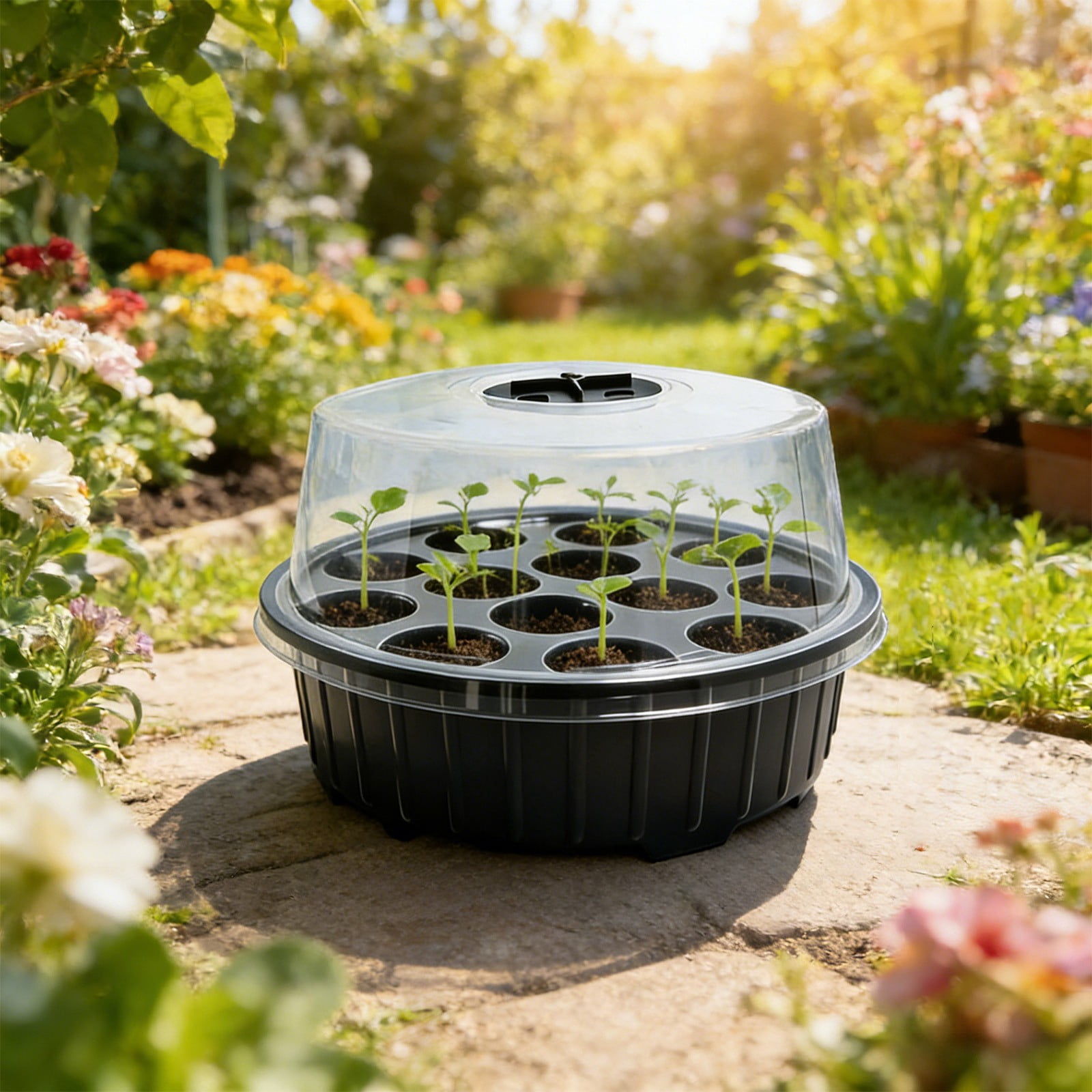 13 Cell Mini Starter Tray with Ventilated Cover, Compact Indoor Garden Kit for Herbs and s, Small Propagation Box with Drainage for Home Planting Projects and Hobbies