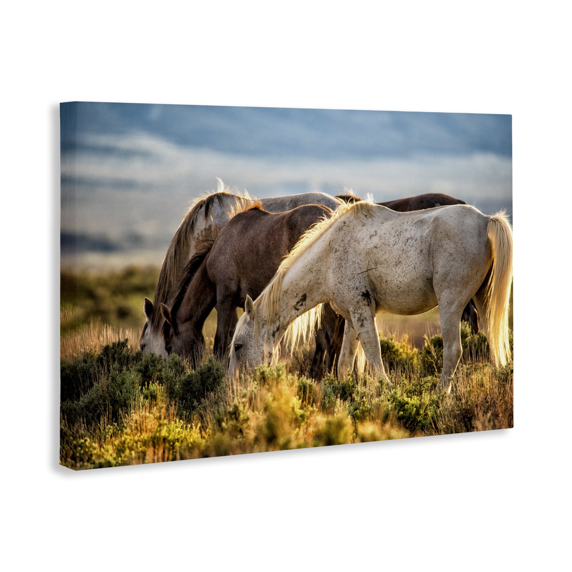 Stupell Industries Equine Evening Graze Canvas Wall Art, design by Tim West